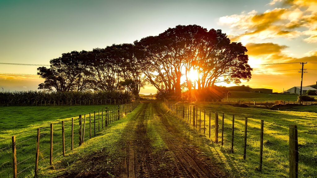 new zealand, landscape, scenic-1805939.jpg